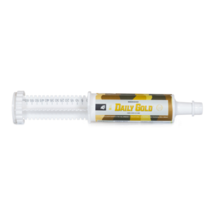 Daily Gold® Paste - Digestive Stress Relief for Horses
